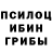Псилоцибиновые грибы Psilocybine cubensis Serhiy Tokarchuk